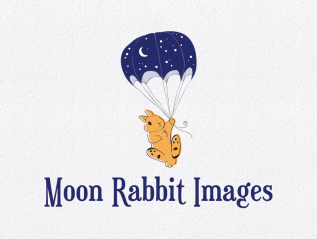 Moon Rabbit Images